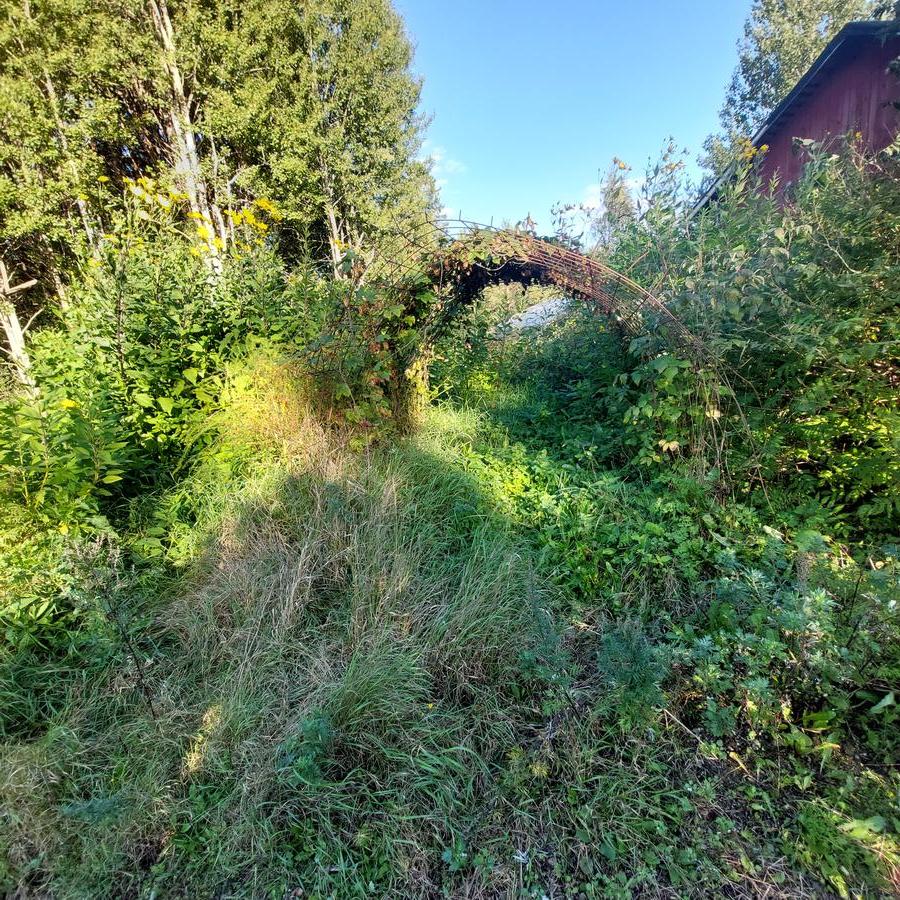 20260906-173310.jpg
