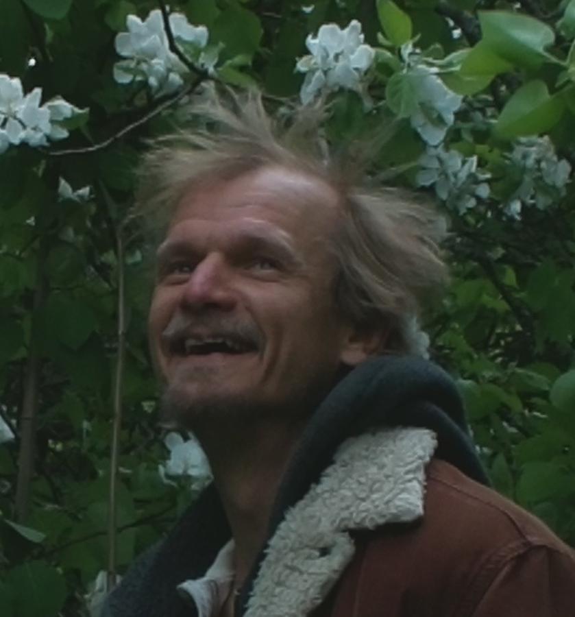 kingrobin.jpeg kingrobin.jpeg